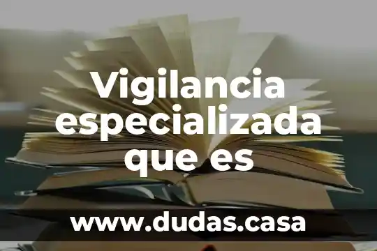 Vigilancia especializada que es
