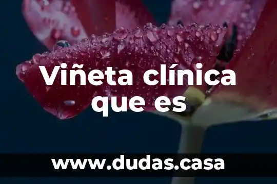 Viñeta clínica que es