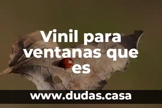 Vinil para ventanas que es