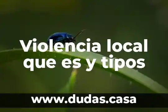 Violencia local que es y tipos