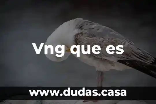 Vng que es