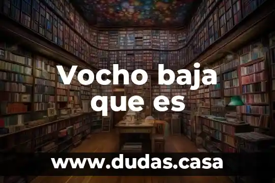 Vocho baja que es