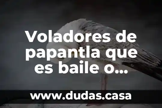 Voladores de papantla que es baile o danzas