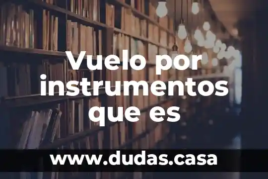 Vuelo por instrumentos que es