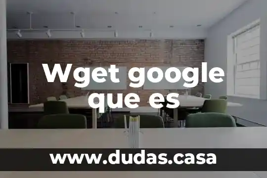 Wget google que es