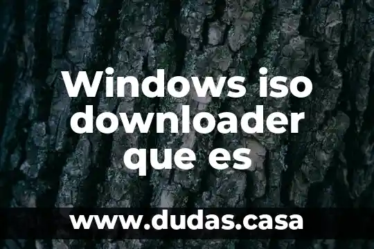 Windows iso downloader que es