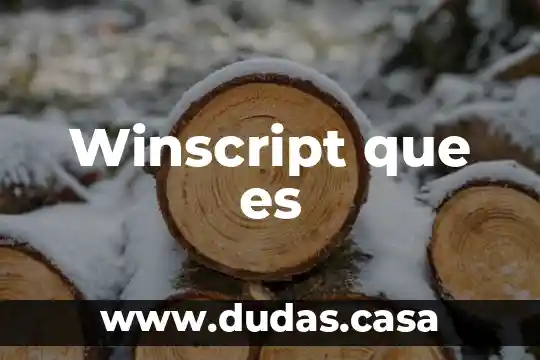 Winscript que es