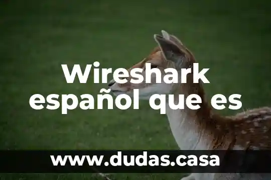 Wireshark español que es