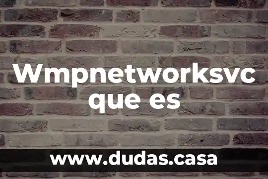 Wmpnetworksvc que es