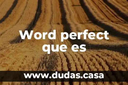 Word perfect que es