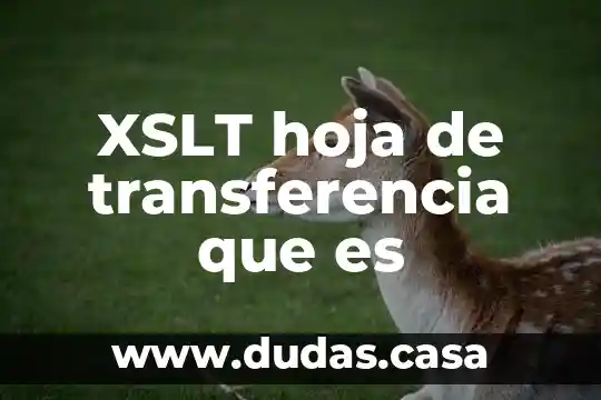 XSLT hoja de transferencia que es