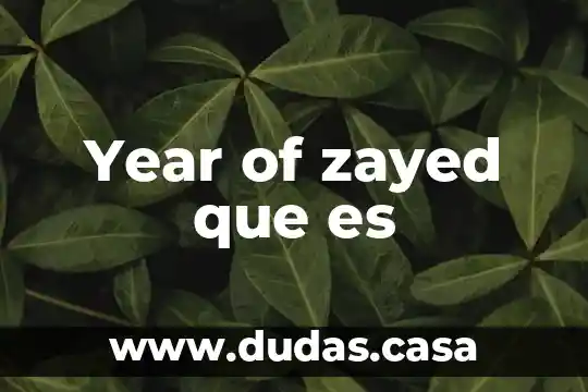 Year of zayed que es