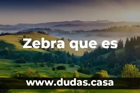Zebra que es