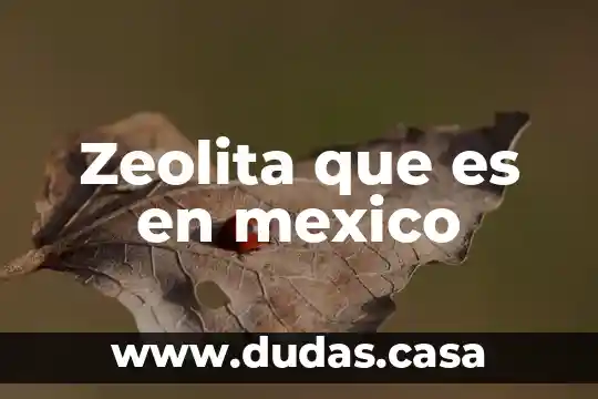 Zeolita que es en mexico